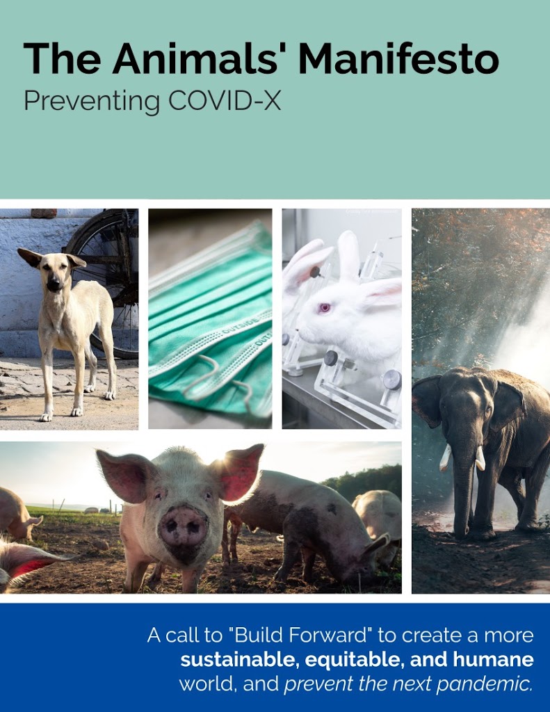 Animals_Manifesto_Preventing_Covid-x.jpg
