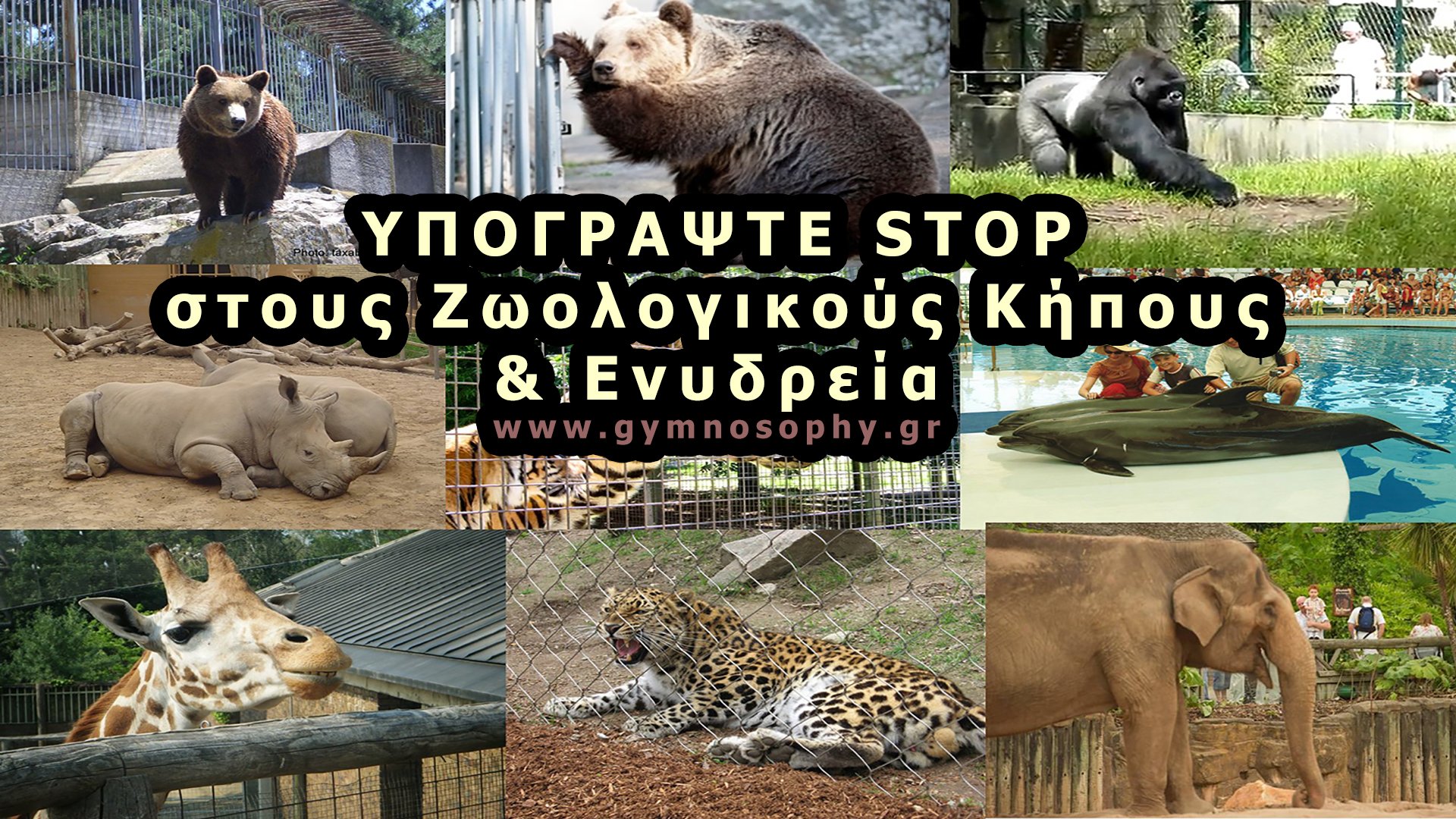 stop-zoos-aquariums-gymnosophy