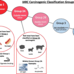 IARC-Carcinogenic-Classification-Groups