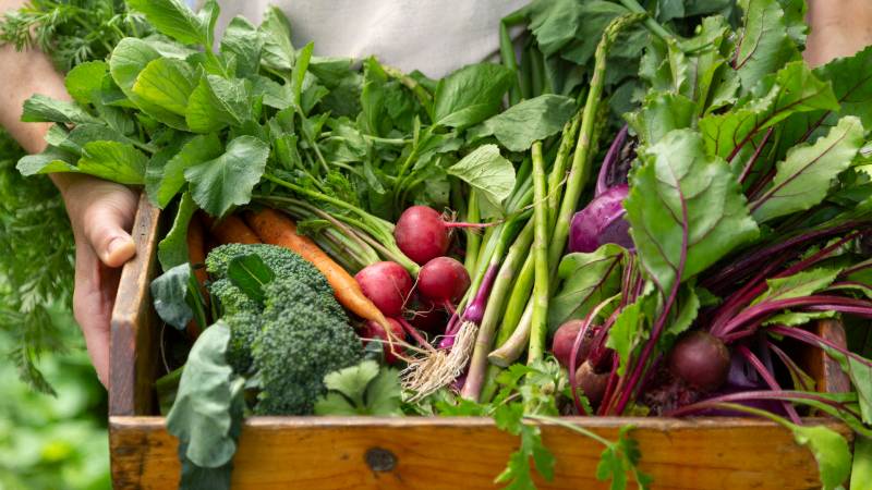 box_of_vegetables